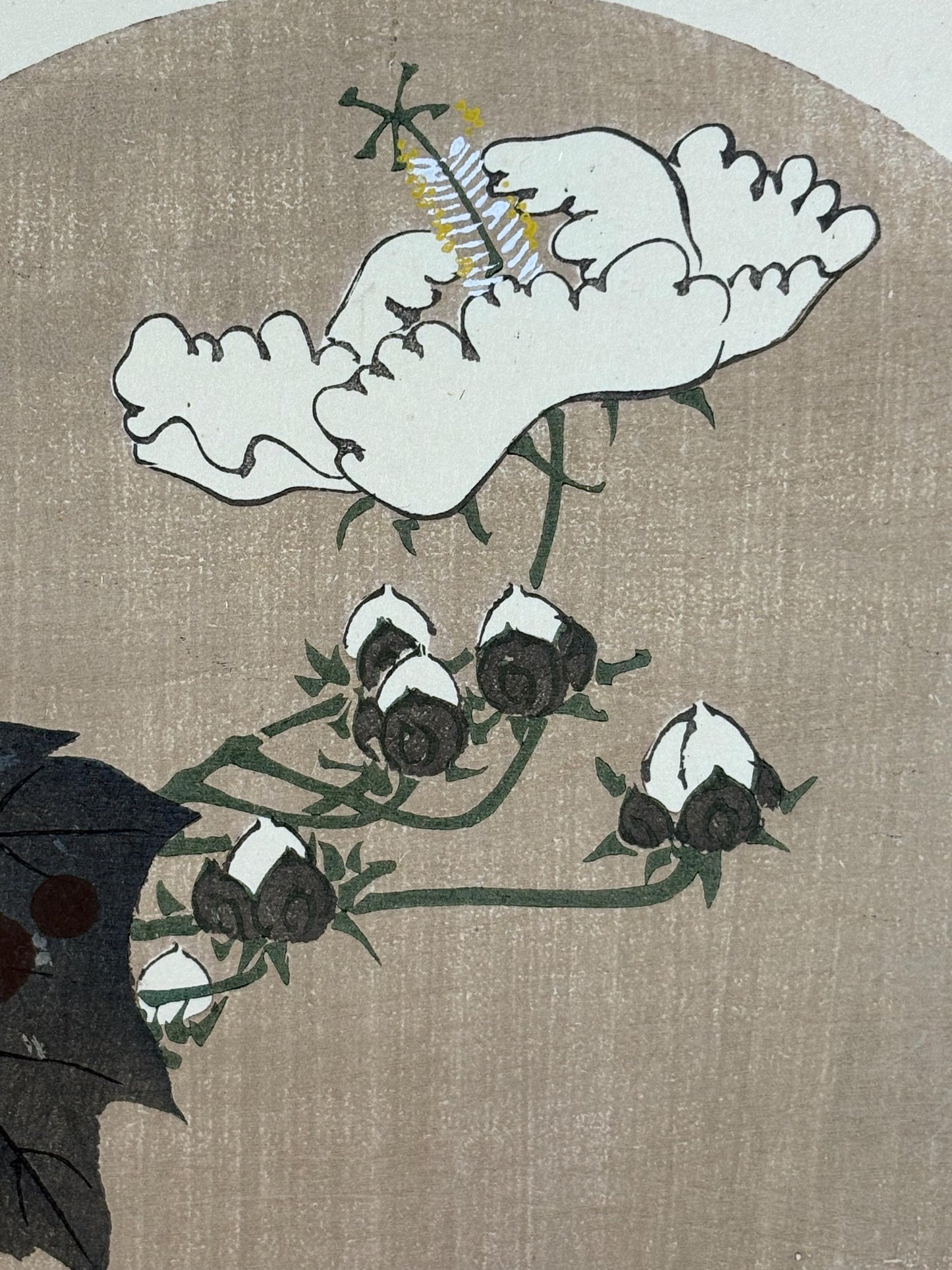 1908, Japanese antique woodblock print, Ito Jakuchu, "cotton rose, from Jakuchu gafu"