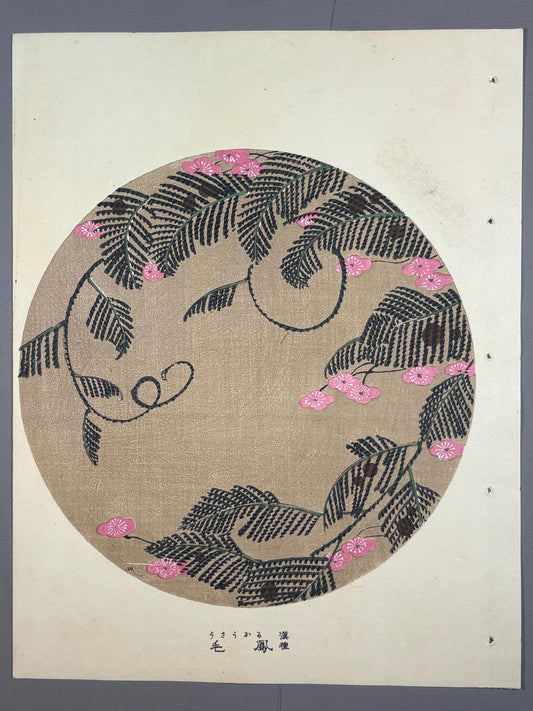 1908, Japanese antique woodblock print, Ito Jakuchu, "cypress vine, from Jakuchu gafu"
