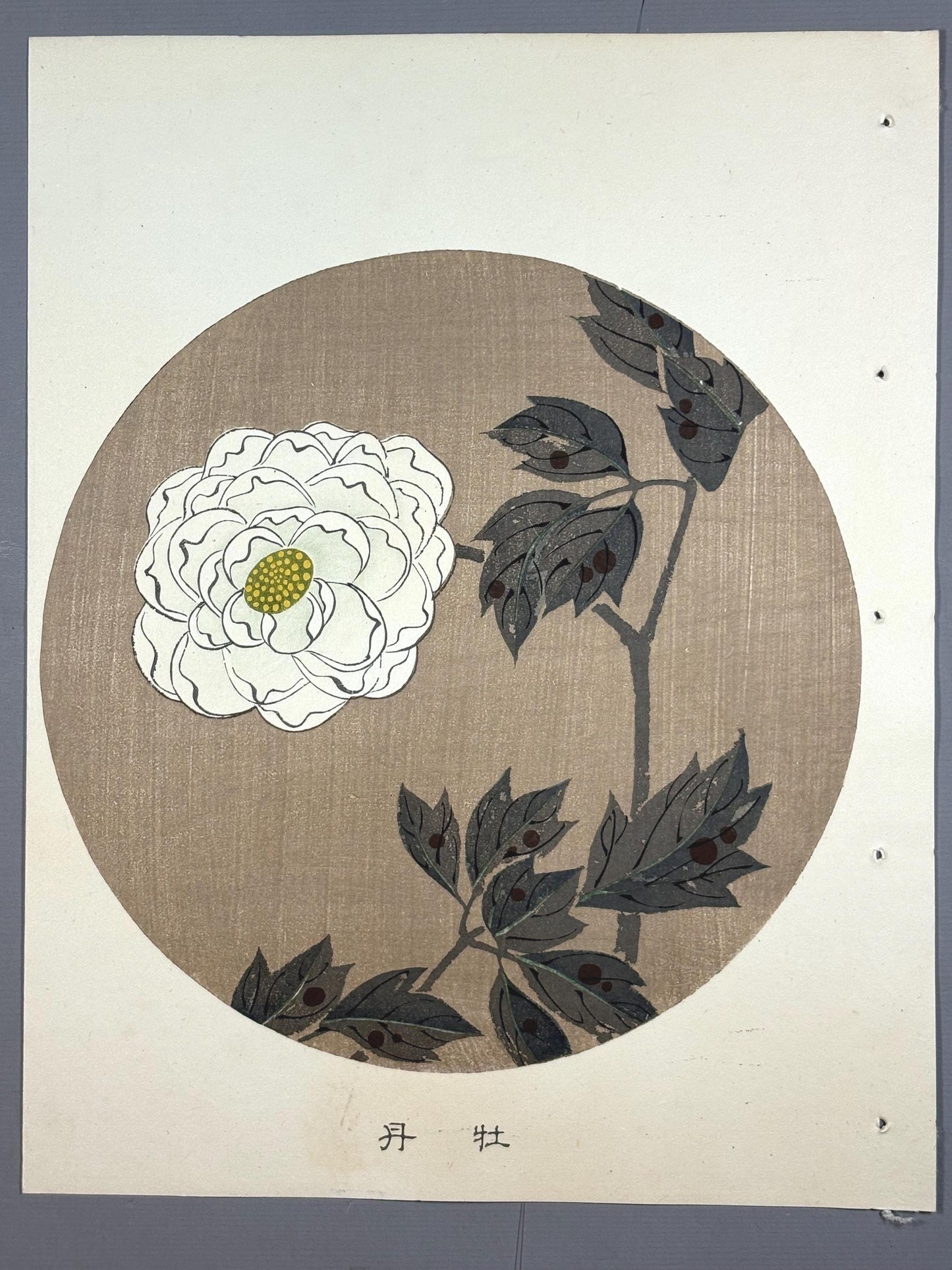 1908, Japanese antique woodblock print, Ito Jakuchu, "peony, from Jakuchu gafu"