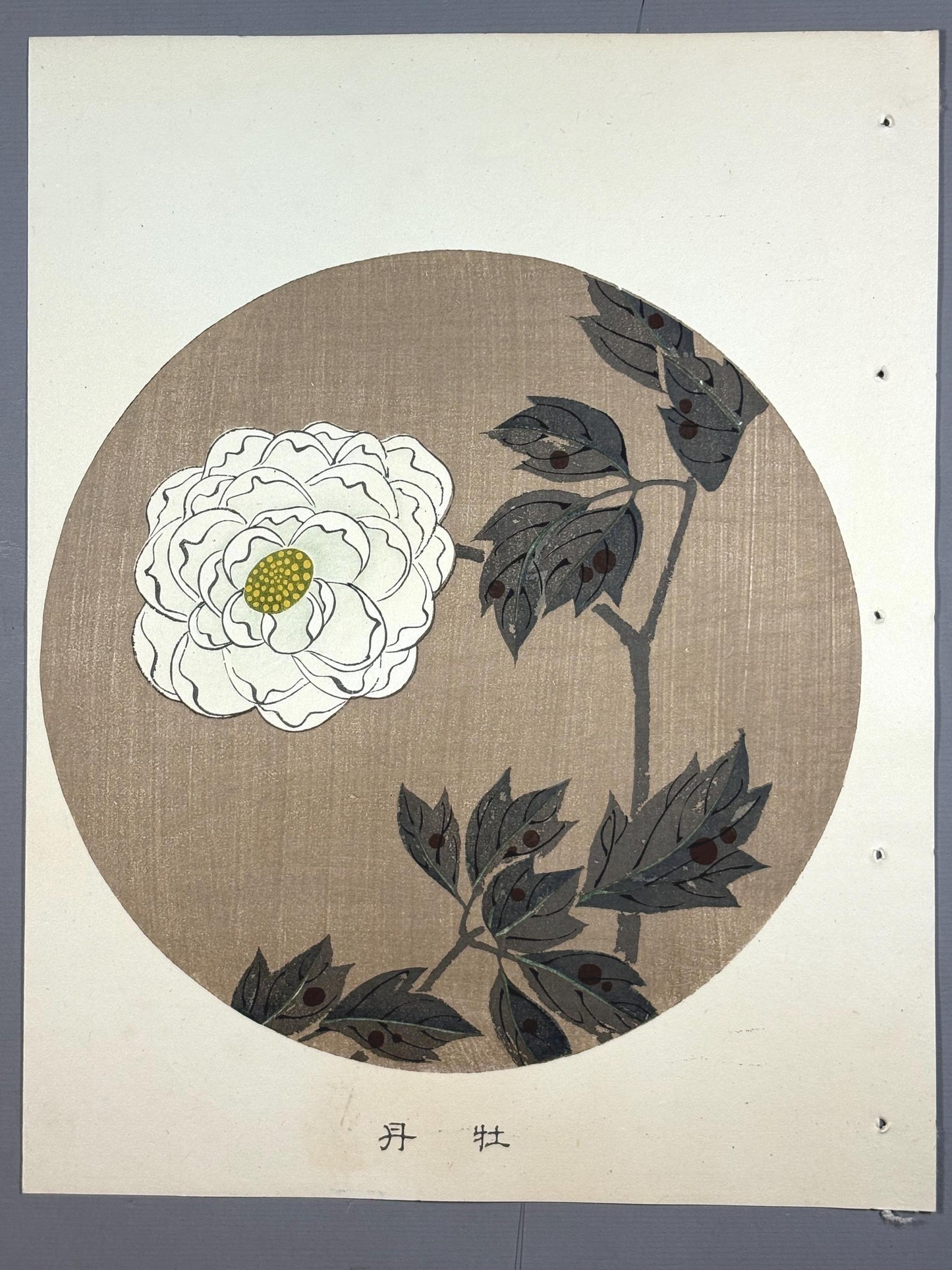1908, Japanese antique woodblock print, Ito Jakuchu, "peony, from Jakuchu gafu"