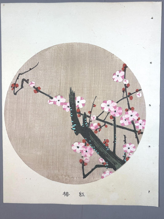 1908, Japanese antique woodblock print, Ito Jakuchu, "red plum blossom, from Jakuchu gafu"