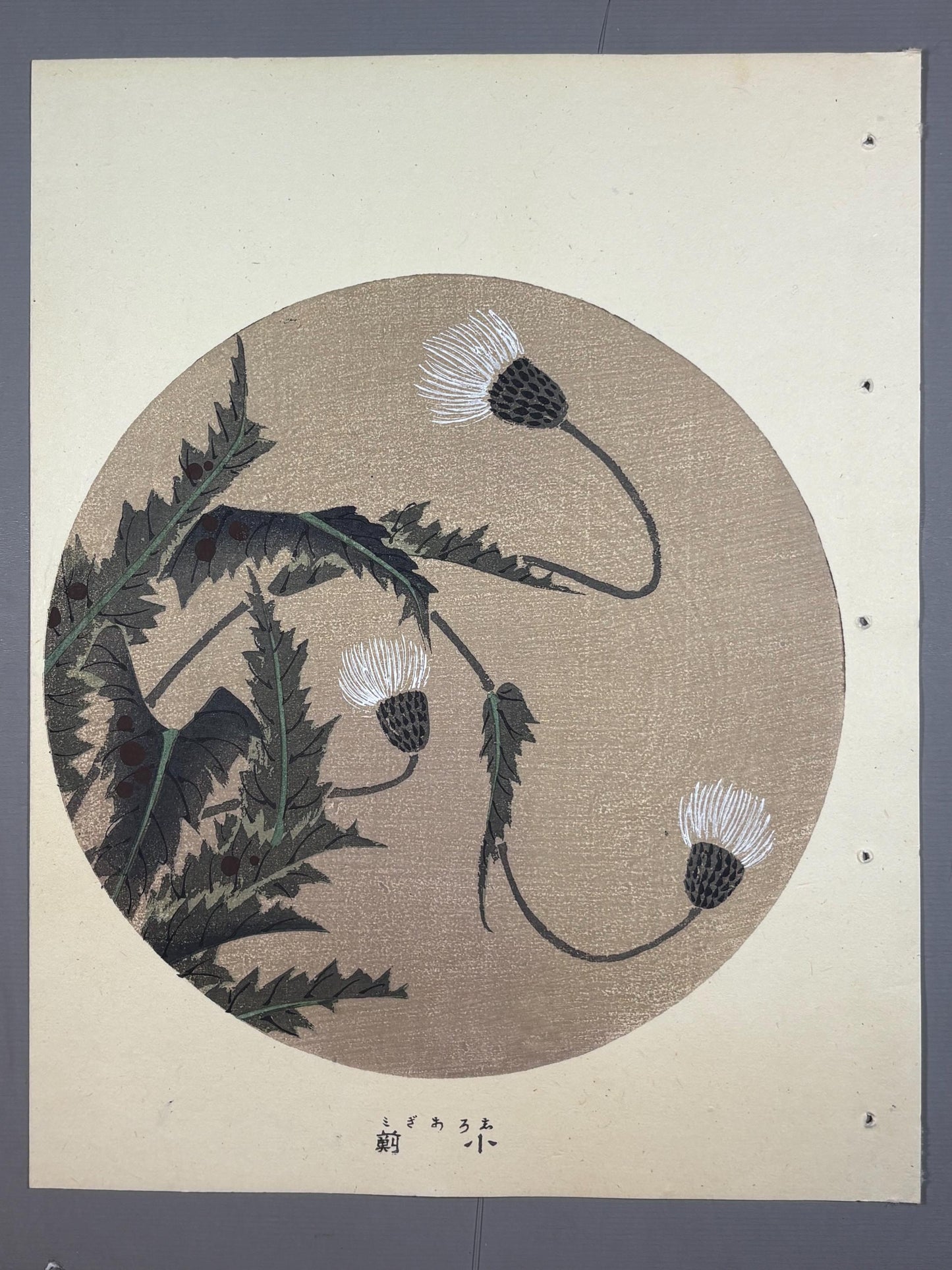 1908, Japanese antique woodblock print, Ito Jakuchu, "thistle, from Jakuchu gafu"