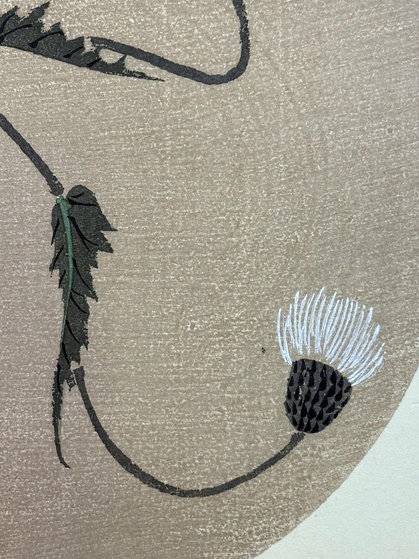 1908, Japanese antique woodblock print, Ito Jakuchu, "thistle, from Jakuchu gafu"