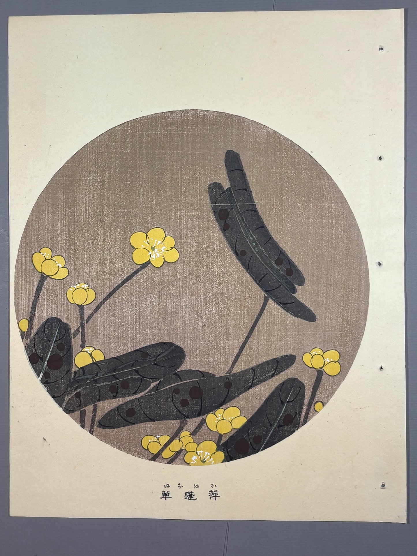 1908, Japanese antique woodblock print, Ito Jakuchu, "Japanese Pond-lily, from Jakuchu gafu"