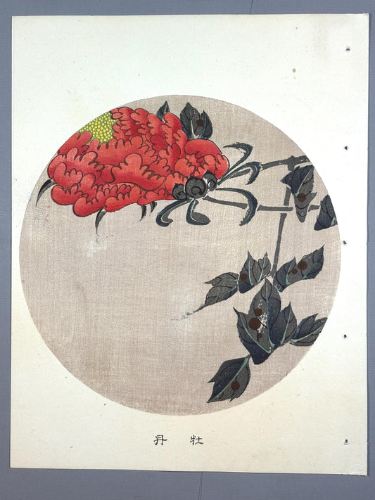 1908, Japanese antique woodblock print, Ito Jakuchu, "peony, from Jakuchu gafu"