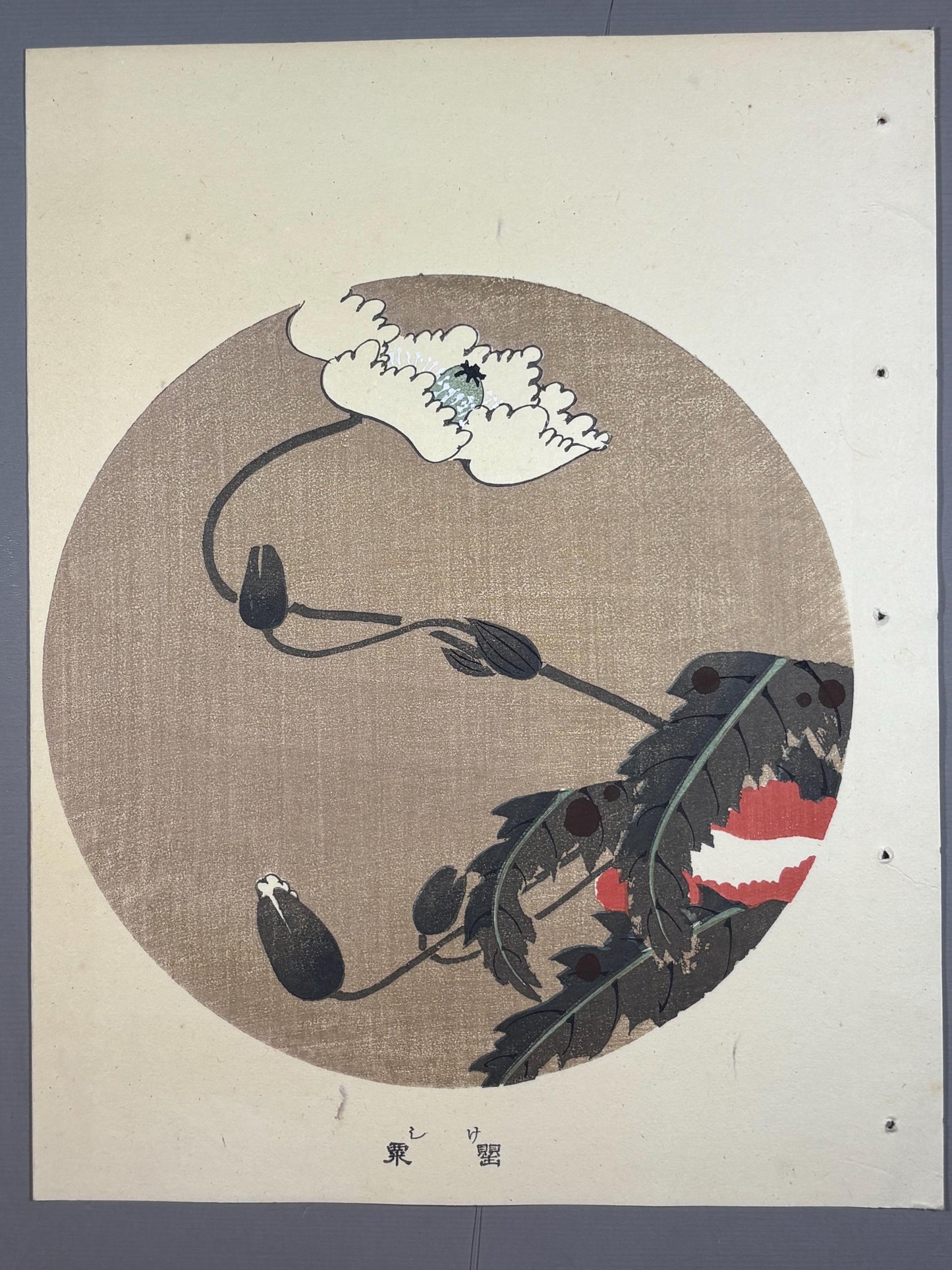 1908, Japanese antique woodblock print, Ito Jakuchu, "Poppy, from Jakuchu gafu"