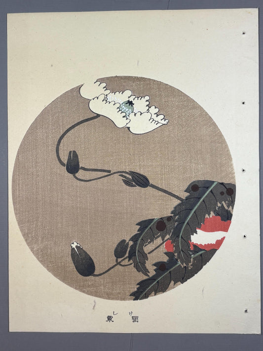 1908, Japanese antique woodblock print, Ito Jakuchu, "Poppy, from Jakuchu gafu"