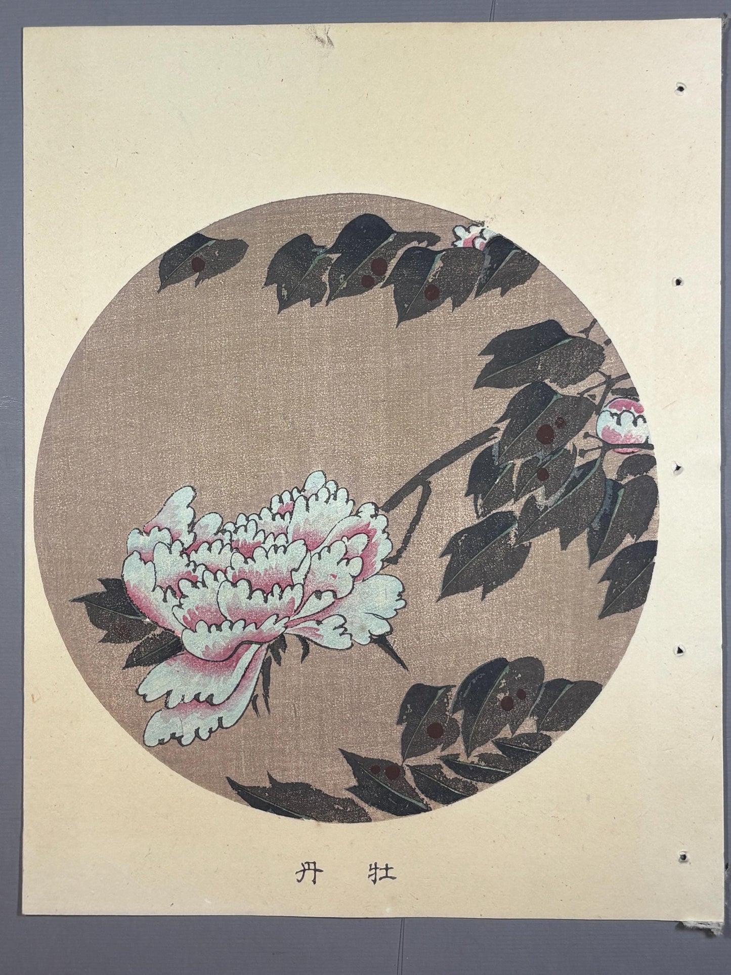 1908, Japanese antique woodblock print, Ito Jakuchu, "peony, from Jakuchu gafu"