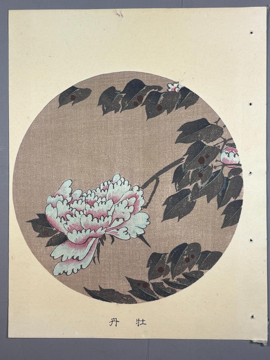 1908, Japanese antique woodblock print, Ito Jakuchu, "peony, from Jakuchu gafu"