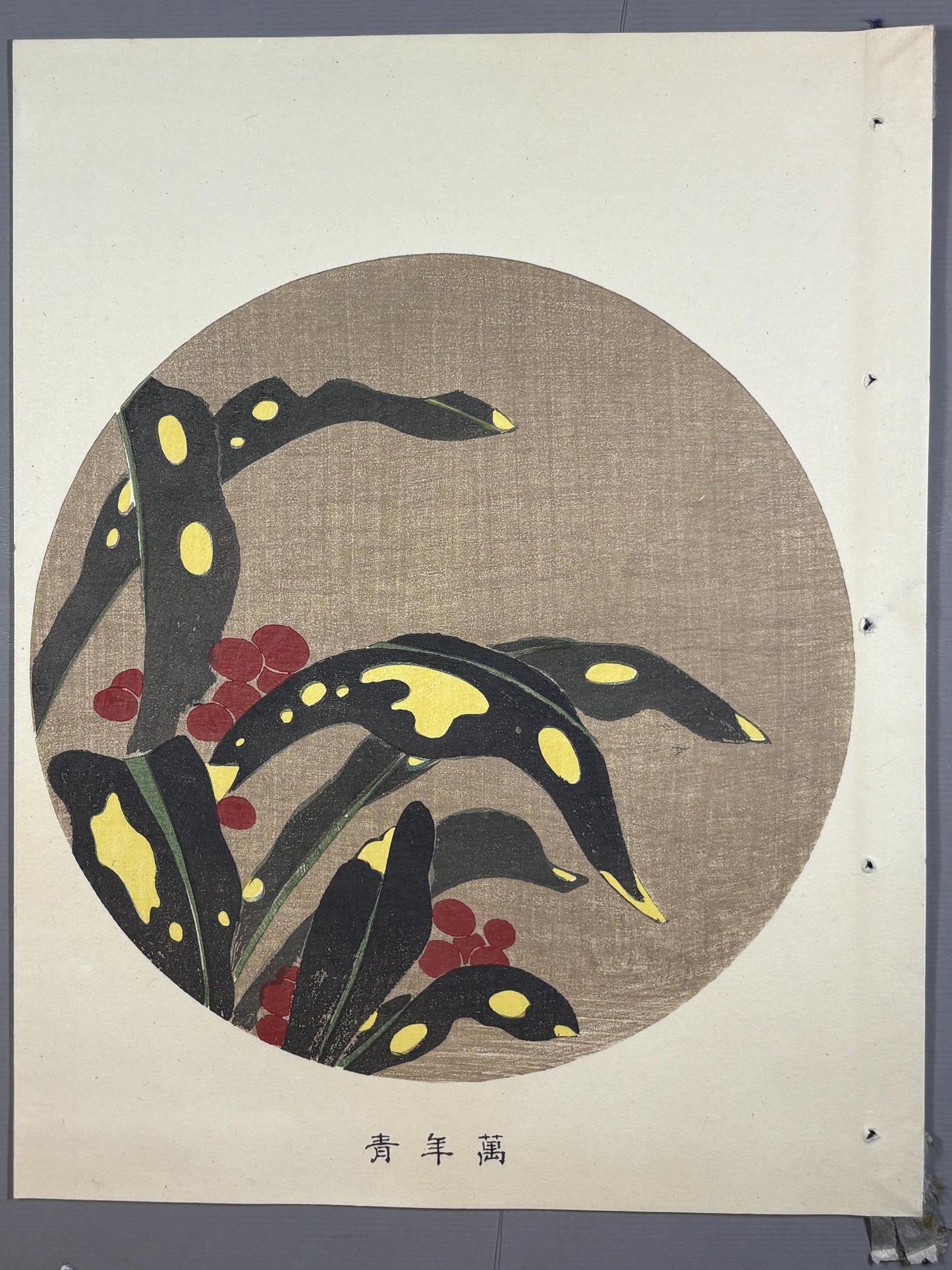 1908, Japanese antique woodblock print, Ito Jakuchu, "Stonecrop, from Jakuchu gafu"
