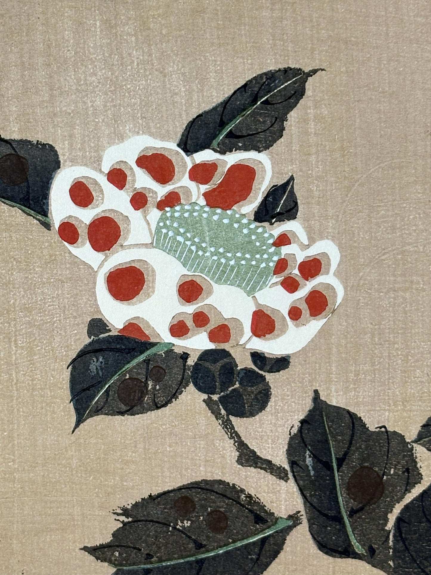 1908, Japanese antique woodblock print, Ito Jakuchu, "Camellia, from Jakuchu gafu"