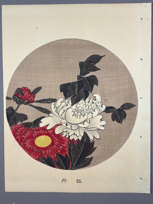 1908, Japanese antique woodblock print, Ito Jakuchu, "Peony, from Jakuchu gafu"