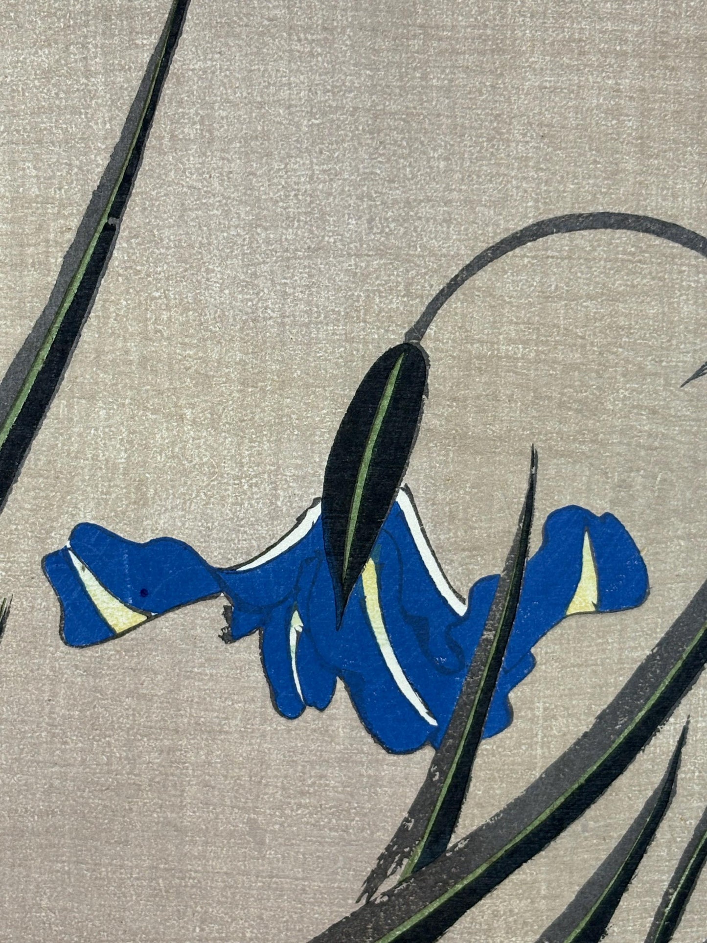 1908, Japanese antique woodblock print, Ito Jakuchu, "Iris, from Jakuchu gafu"