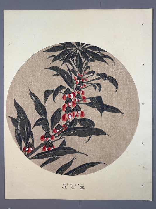 1908, Japanese antique woodblock print, Ito Jakuchu, "Garden Balsam, from Jakuchu gafu"