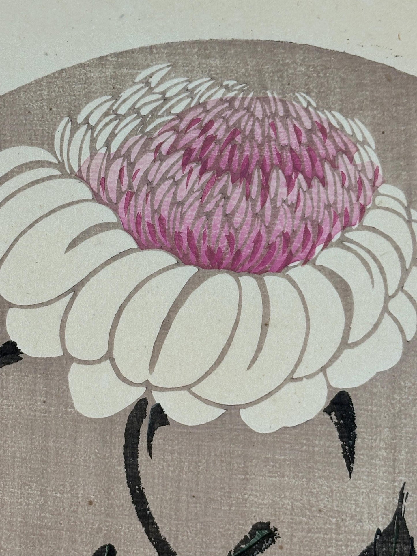 1908, Japanese antique woodblock print, Ito Jakuchu, "Peony, from Jakuchu gafu"