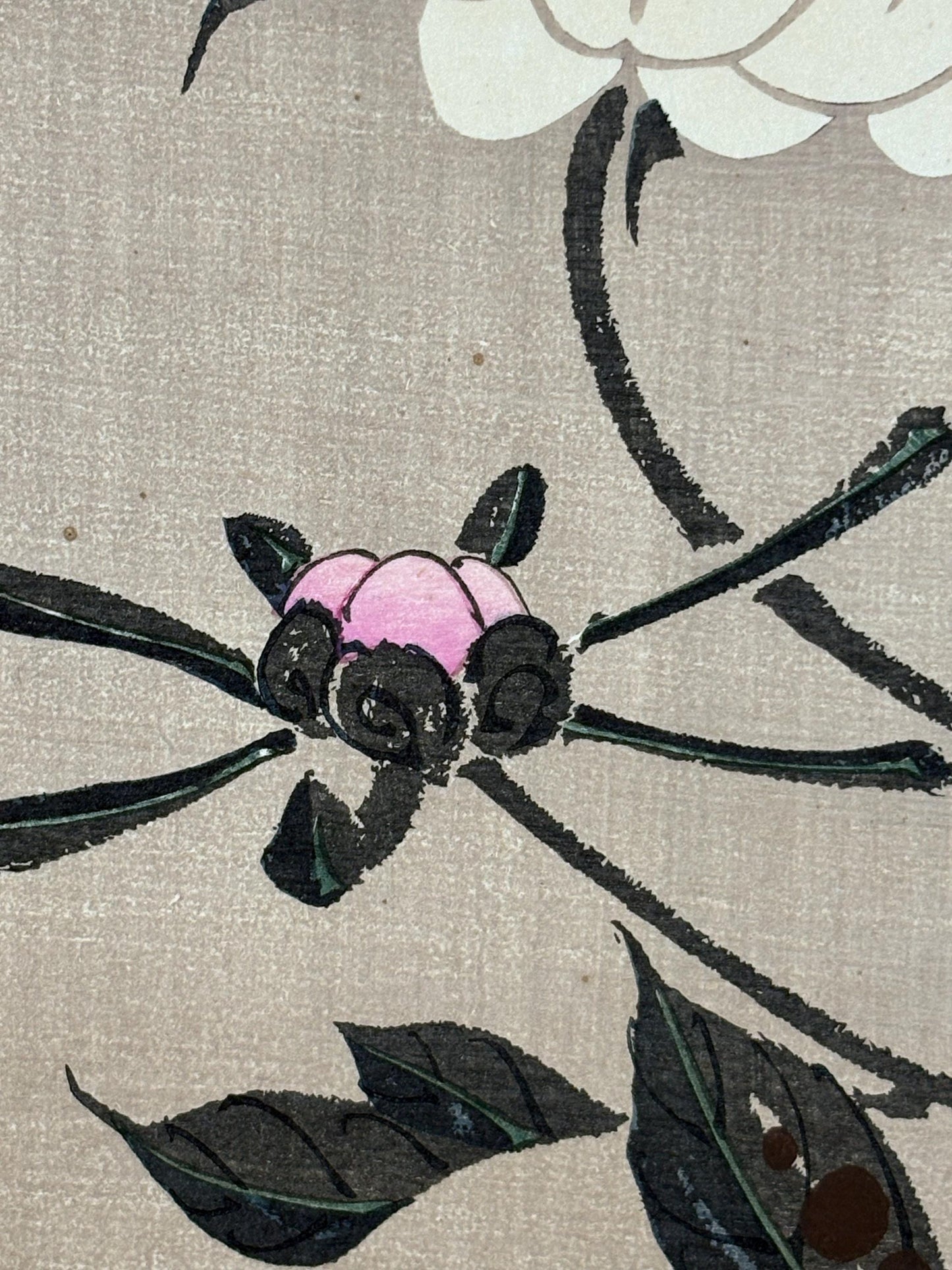 1908, Japanese antique woodblock print, Ito Jakuchu, "Peony, from Jakuchu gafu"