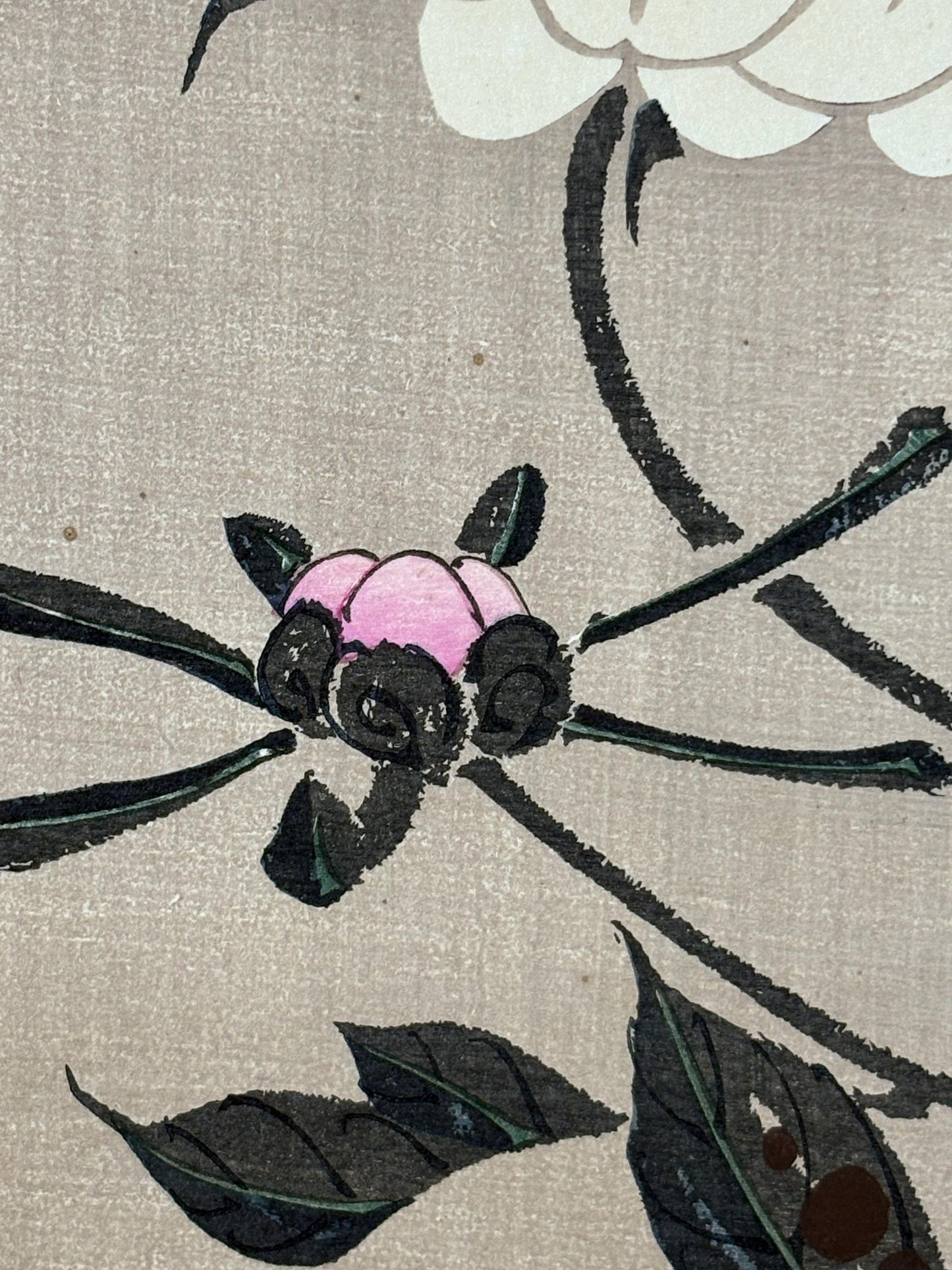 1908, Japanese antique woodblock print, Ito Jakuchu, "Peony, from Jakuchu gafu"