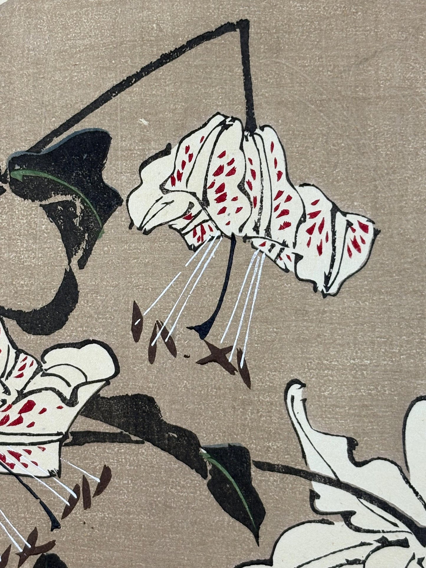 1908, Japanese antique woodblock print, Ito Jakuchu, "Speciosum Lily, from Jakuchu gafu"
