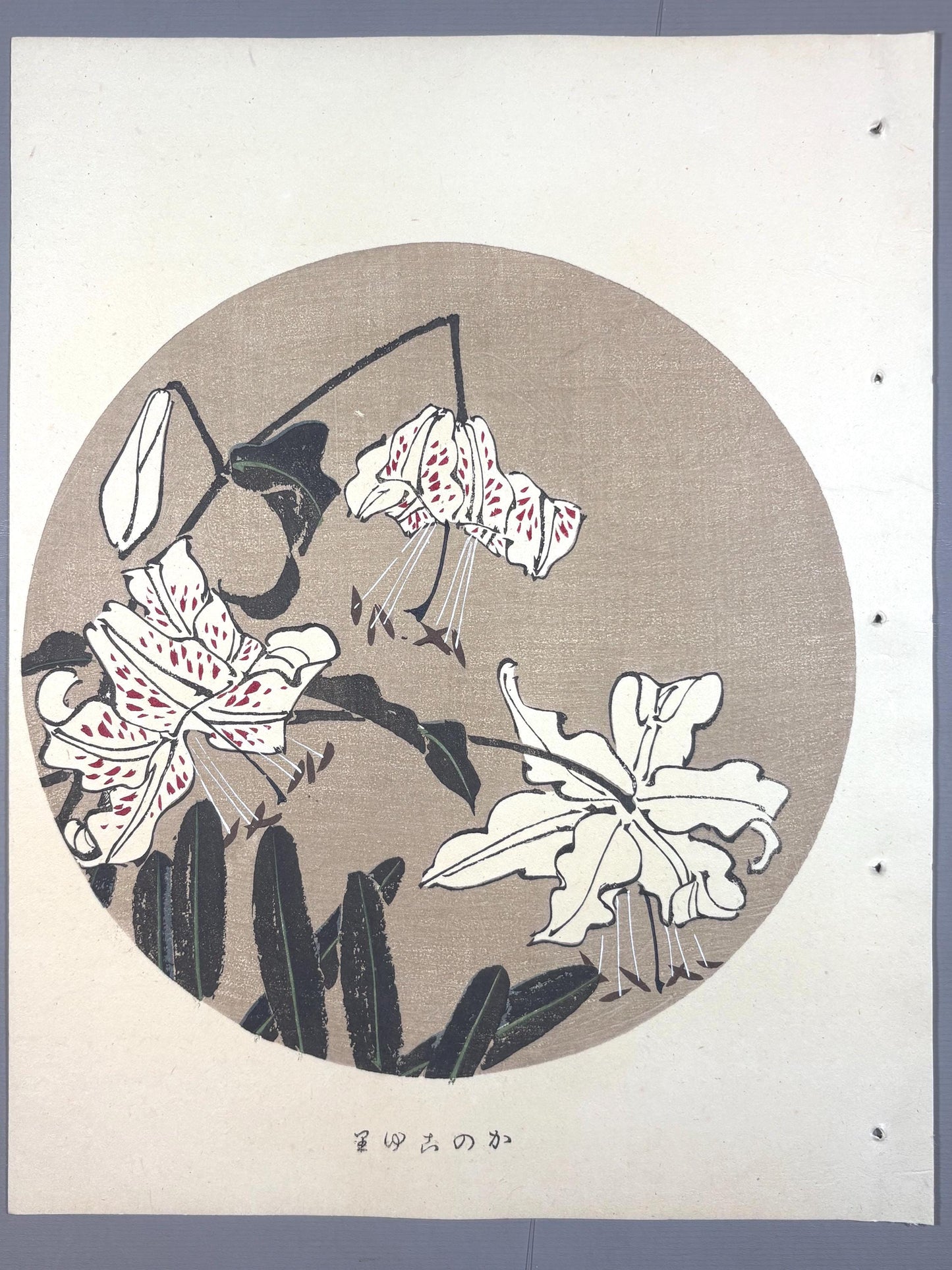 1908, Japanese antique woodblock print, Ito Jakuchu, "Speciosum Lily, from Jakuchu gafu"
