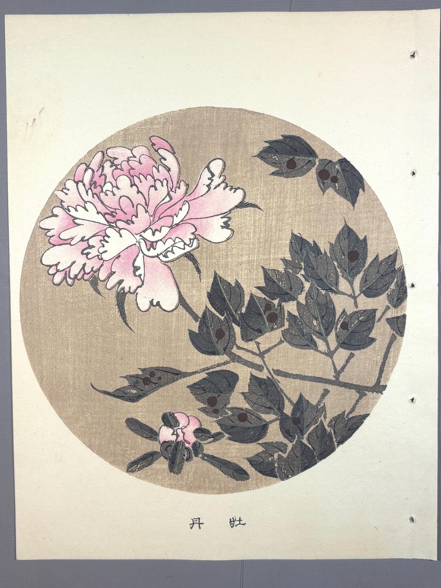1908, Japanese antique woodblock print, Ito Jakuchu, "Peony, from Jakuchu gafu"