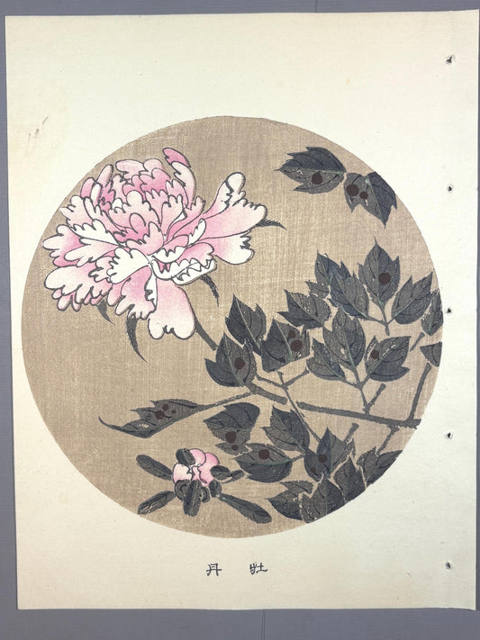 1908, Japanese antique woodblock print, Ito Jakuchu, "Peony, from Jakuchu gafu"