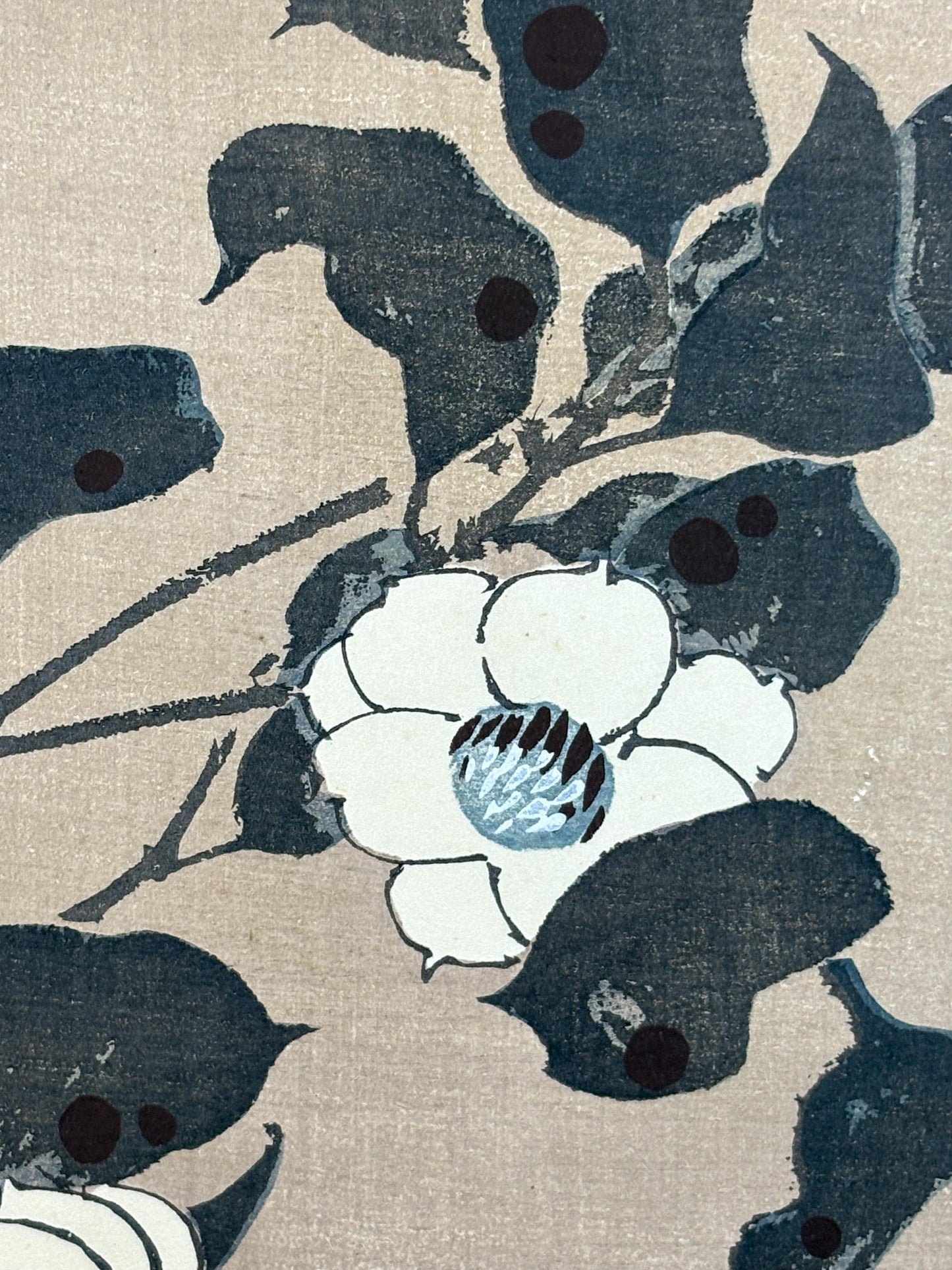 1908, Japanese antique woodblock print, Ito Jakuchu, "Siebold's magnolia, from Jakuchu gafu"