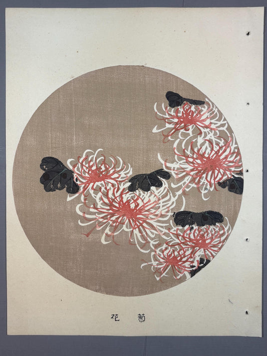 1908, Japanese antique woodblock print, Ito Jakuchu, "Chrysanthemum, from Jakuchu gafu"