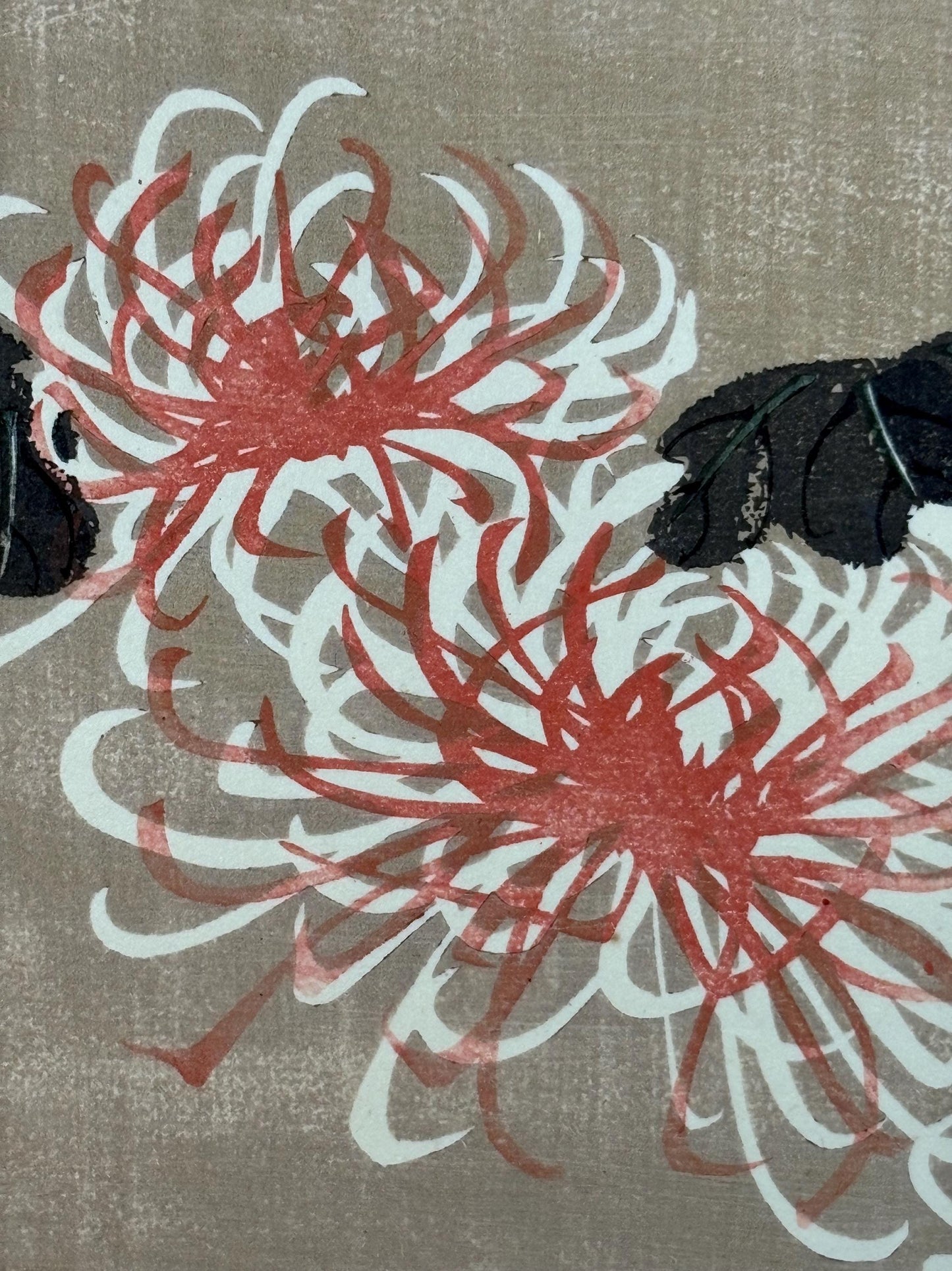1908, Japanese antique woodblock print, Ito Jakuchu, "Chrysanthemum, from Jakuchu gafu"