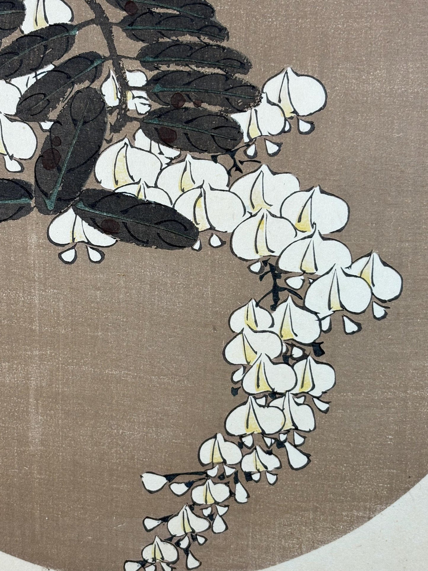 1908, Japanese antique woodblock print, Ito Jakuchu, "White Wisteria, from Jakuchu gafu"