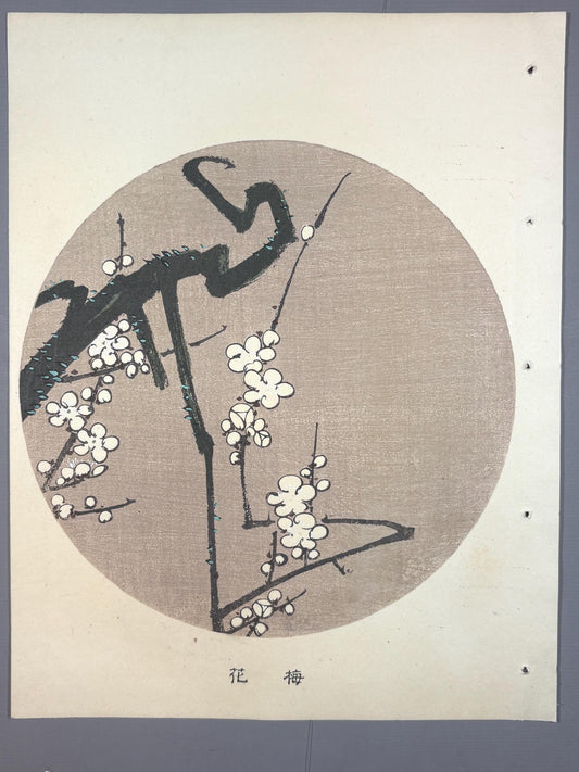 1908, Japanese antique woodblock print, Ito Jakuchu, "White Wisteria, from Jakuchu gafu"