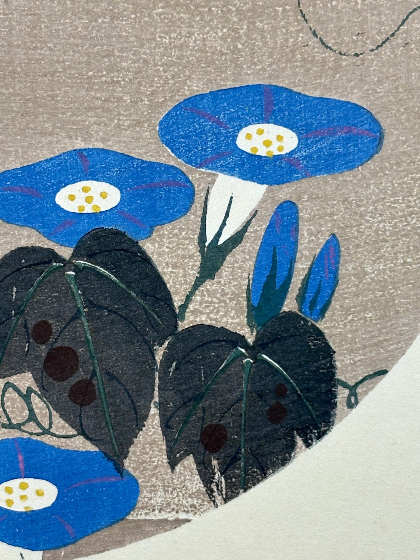 1908, Japanese antique woodblock print, Ito Jakuchu, "Morning Glory, from Jakuchu gafu"