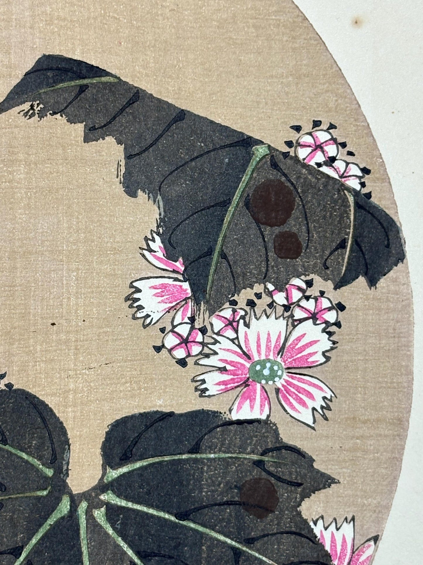 1908, Japanese antique woodblock print, Ito Jakuchu, "Common Mallow, from Jakuchu gafu"