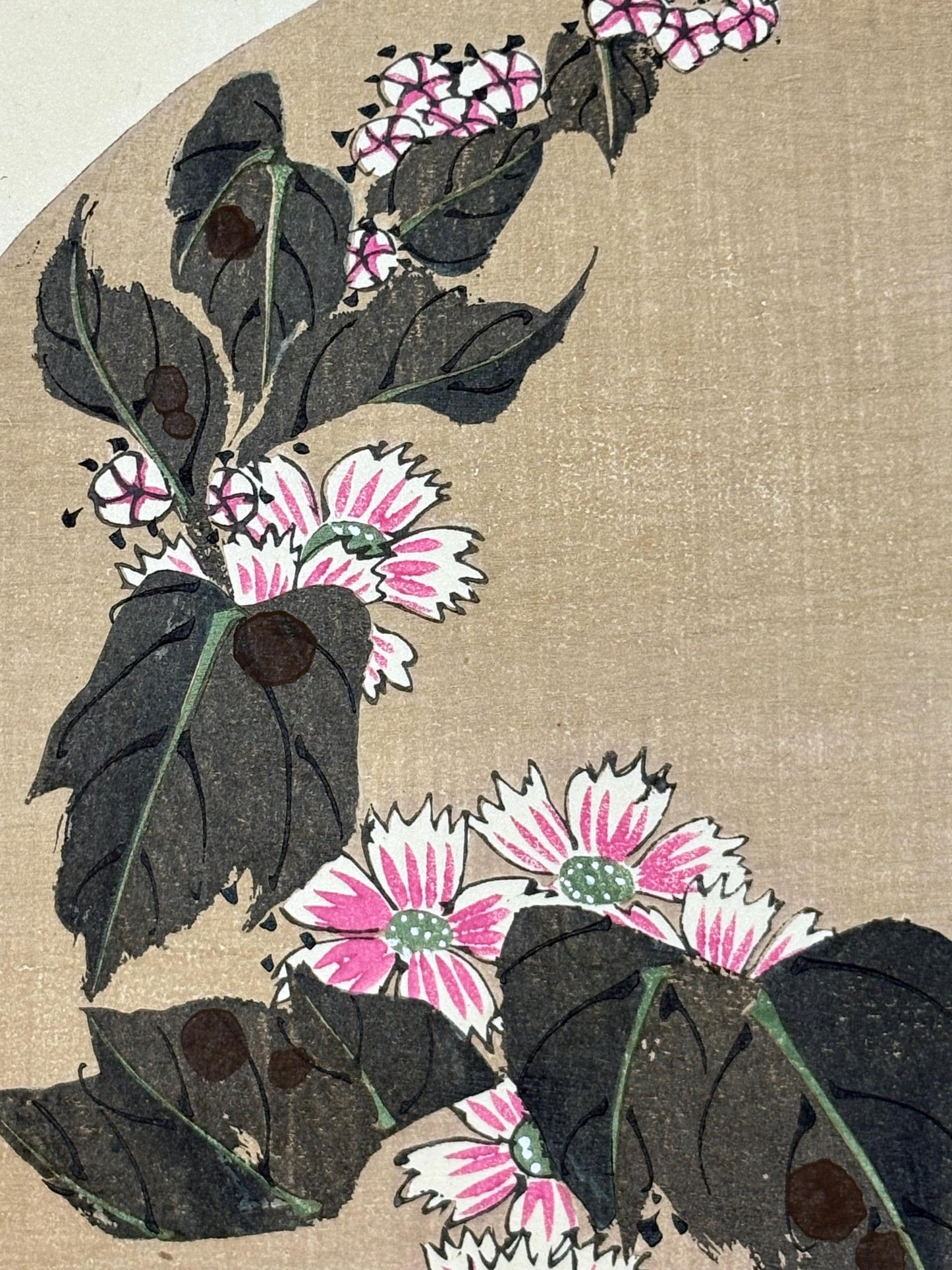 1908, Japanese antique woodblock print, Ito Jakuchu, "Common Mallow, from Jakuchu gafu"