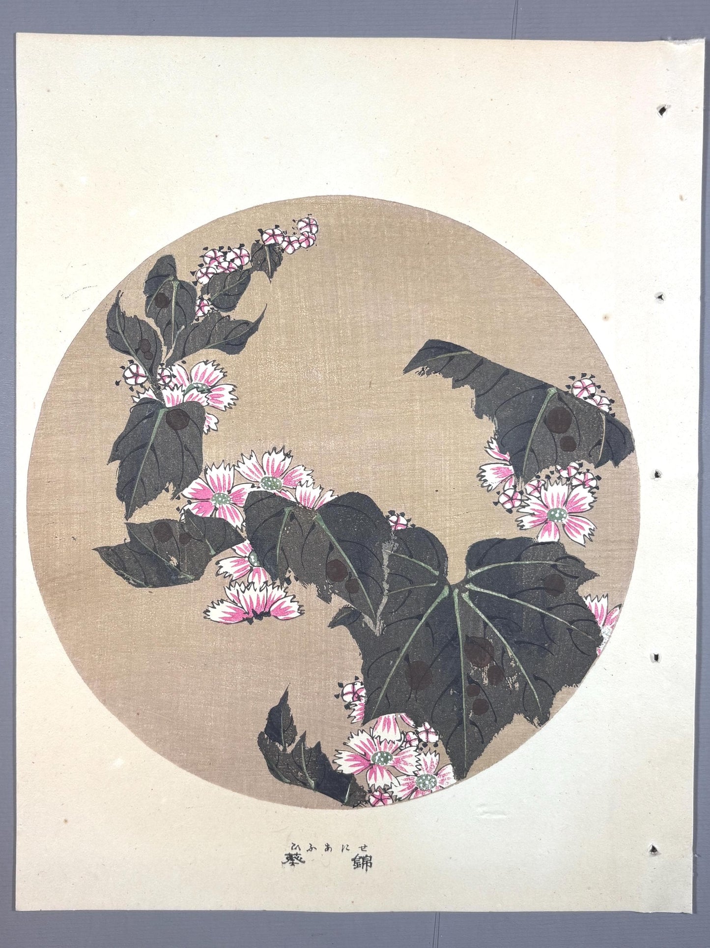 1908, Japanese antique woodblock print, Ito Jakuchu, "Common Mallow, from Jakuchu gafu"