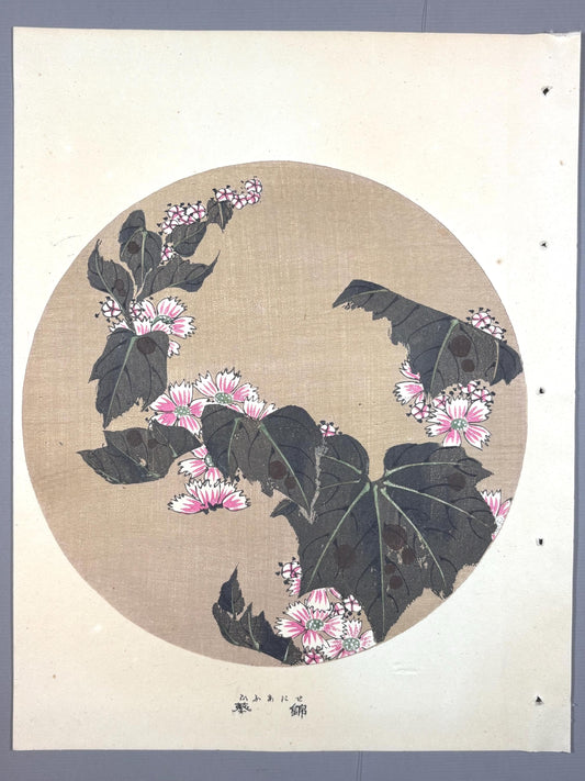 1908, Japanese antique woodblock print, Ito Jakuchu, "Common Mallow, from Jakuchu gafu"