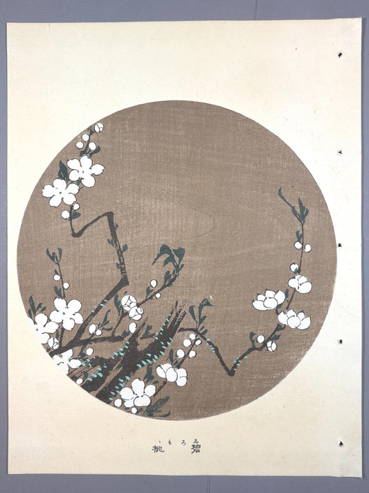 1908, Japanese antique woodblock print, Ito Jakuchu, "White Peach, from Jakuchu gafu"