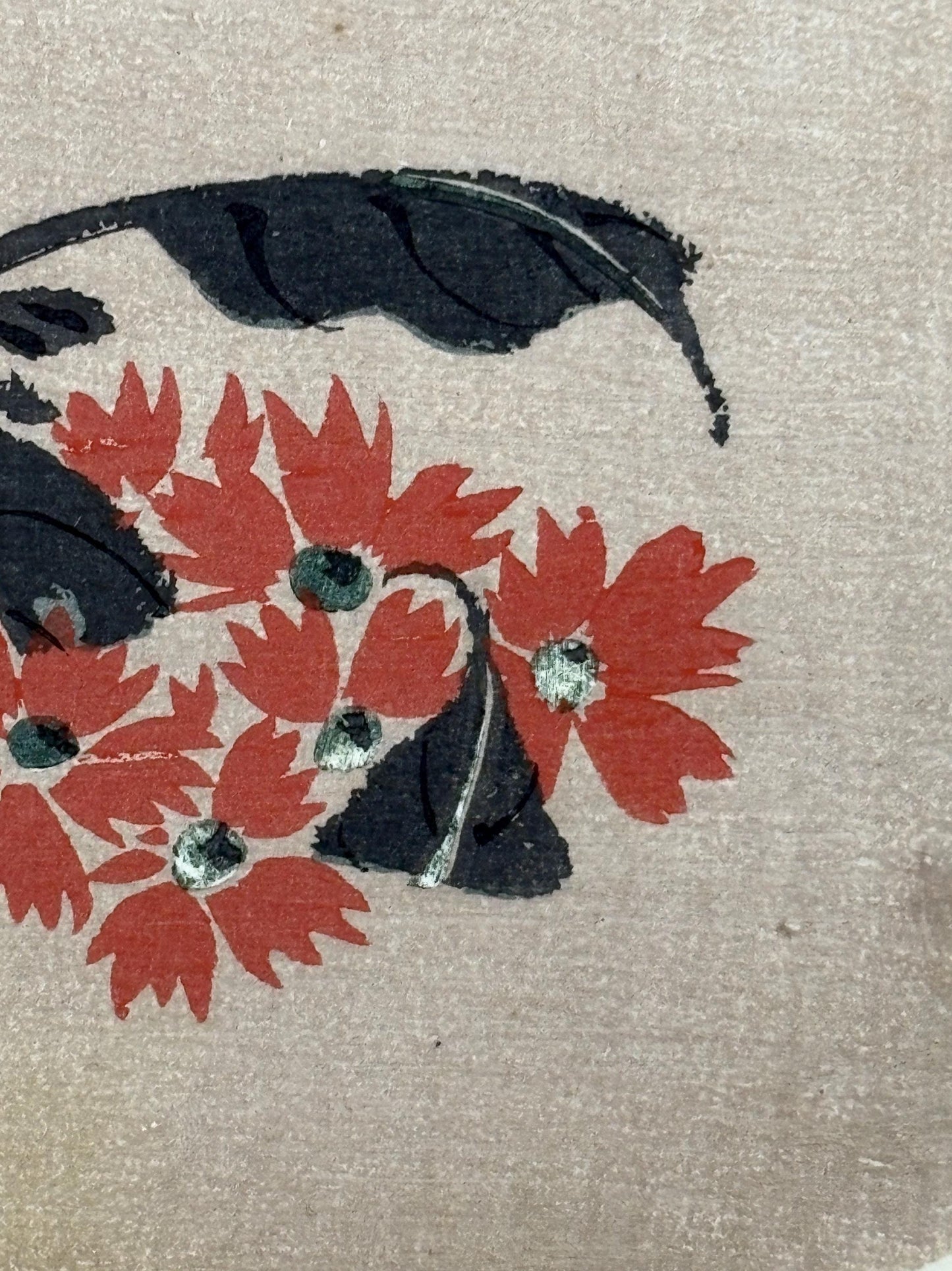 1908, Japanese antique woodblock print, Ito Jakuchu, "Orange Campion, from Jakuchu gafu"