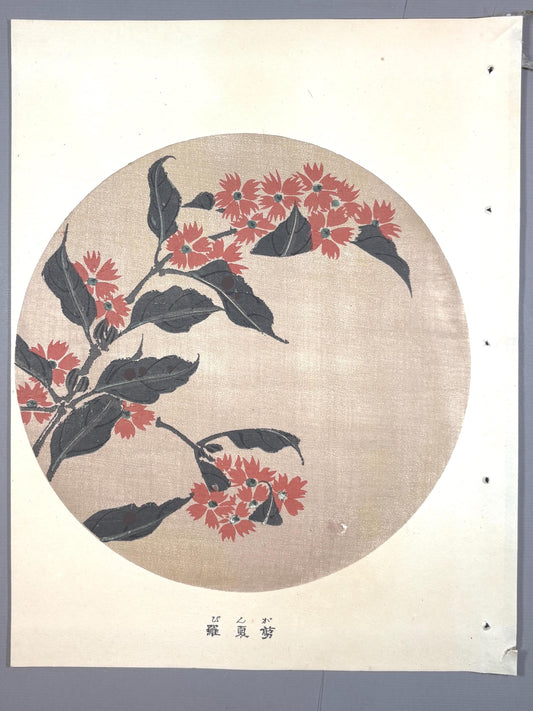 1908, Japanese antique woodblock print, Ito Jakuchu, "Orange Campion, from Jakuchu gafu"