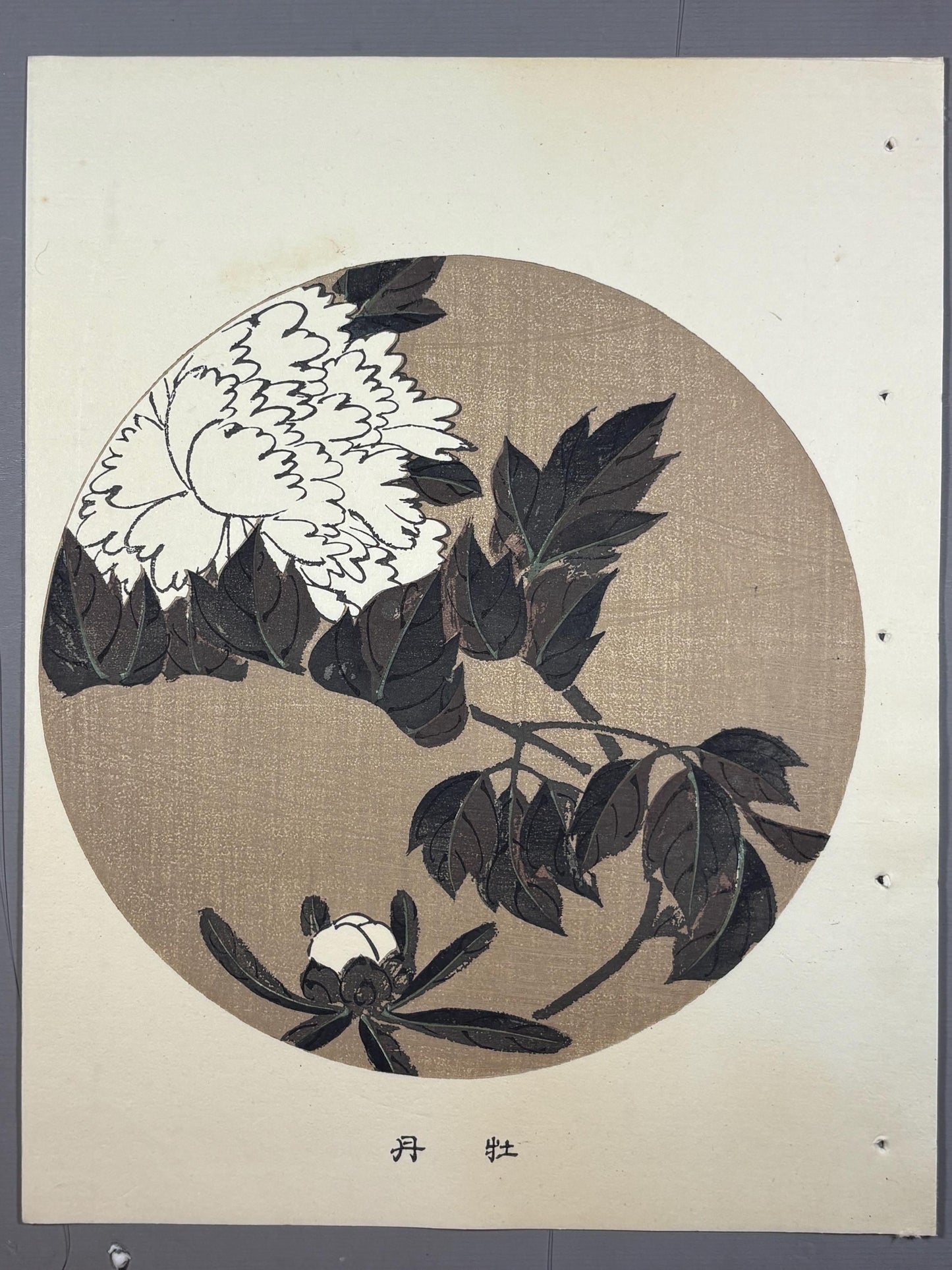 1908, Japanese antique woodblock print, Ito Jakuchu, "Peony, from Jakuchu gafu"