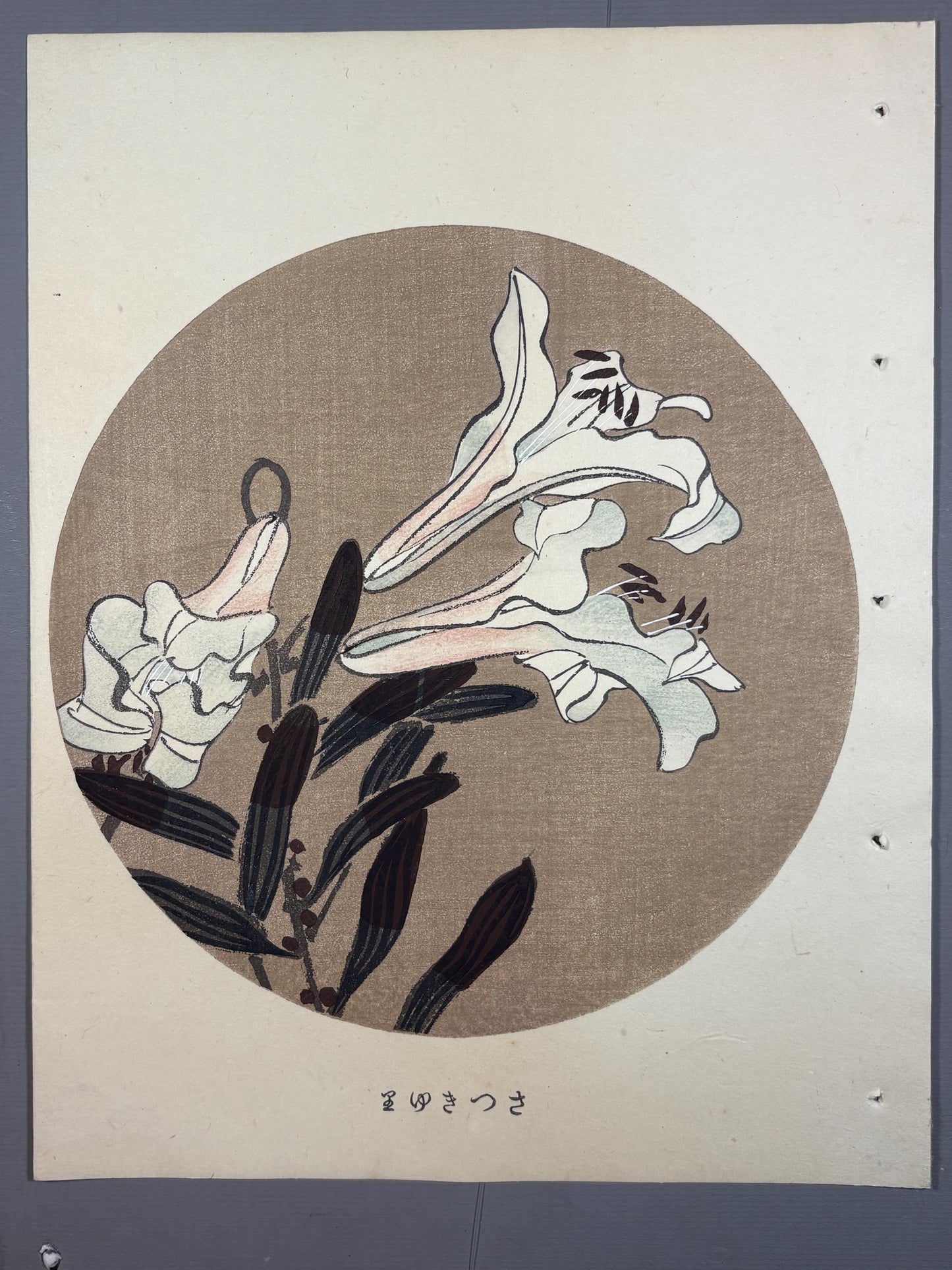 1908, Japanese antique woodblock print, Ito Jakuchu, "Showy Japanese Lily, from Jakuchu gafu"