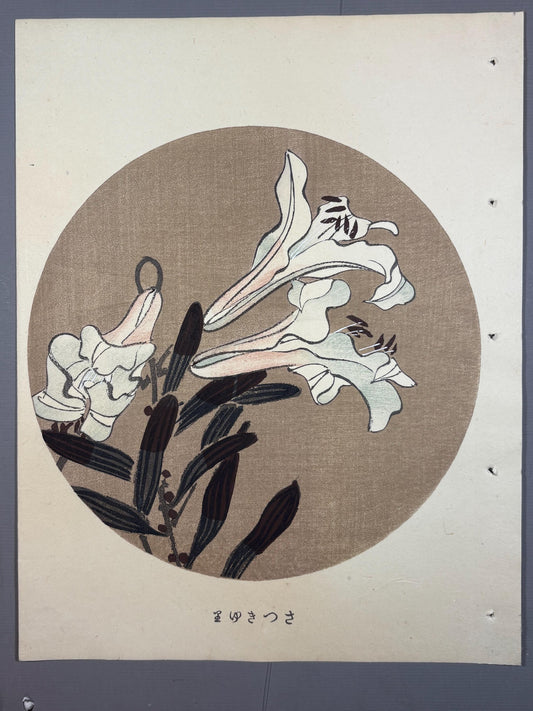 1908, Japanese antique woodblock print, Ito Jakuchu, "Showy Japanese Lily, from Jakuchu gafu"