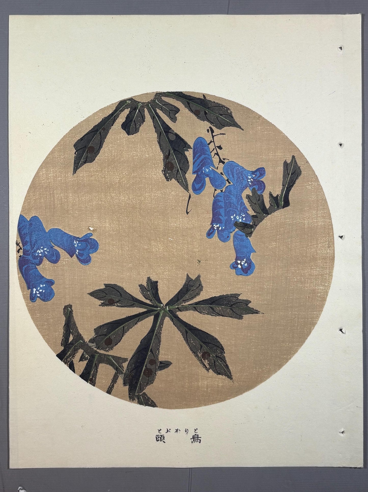 1908, Japanese antique woodblock print, Ito Jakuchu, "Monkshood, from Jakuchu gafu"