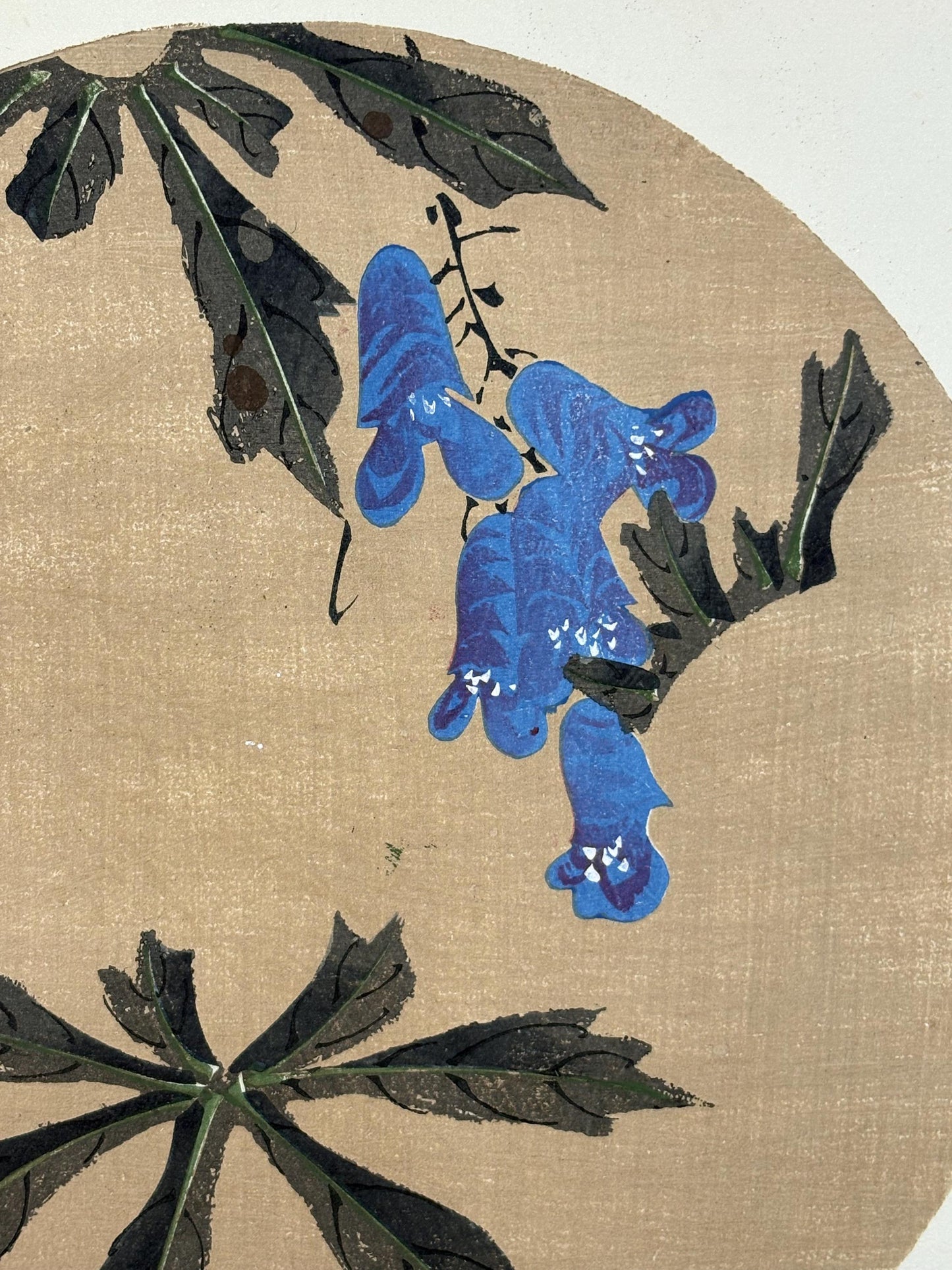 1908, Japanese antique woodblock print, Ito Jakuchu, "Monkshood, from Jakuchu gafu"