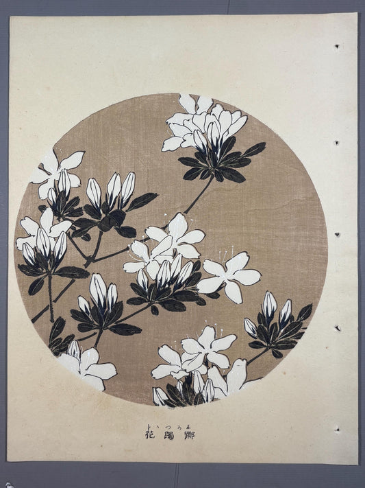 1908, Japanese antique woodblock print, Ito Jakuchu, "Azalea, from Jakuchu gafu"