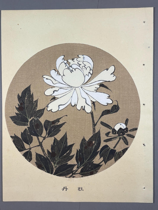 1908, Japanese antique woodblock print, Ito Jakuchu, "Peony, from Jakuchu gafu"