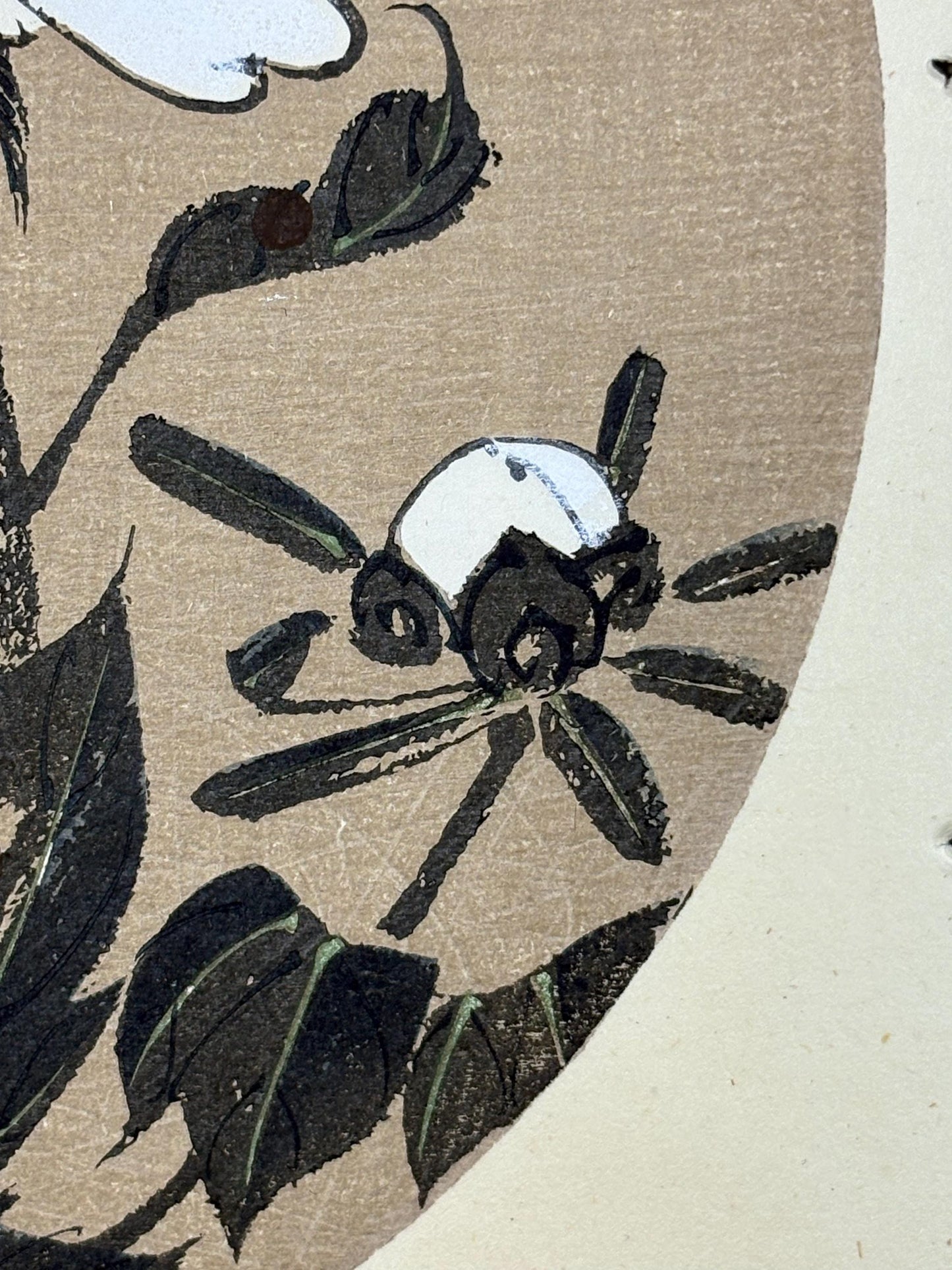 1908, Japanese antique woodblock print, Ito Jakuchu, "Peony, from Jakuchu gafu"