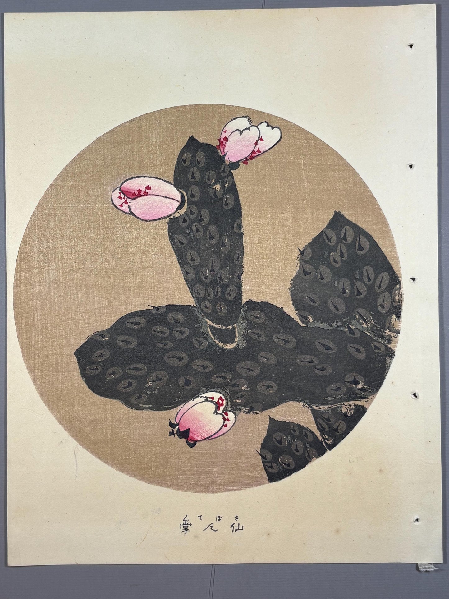 1908, Japanese antique woodblock print, Ito Jakuchu, "Cactus, from Jakuchu gafu"