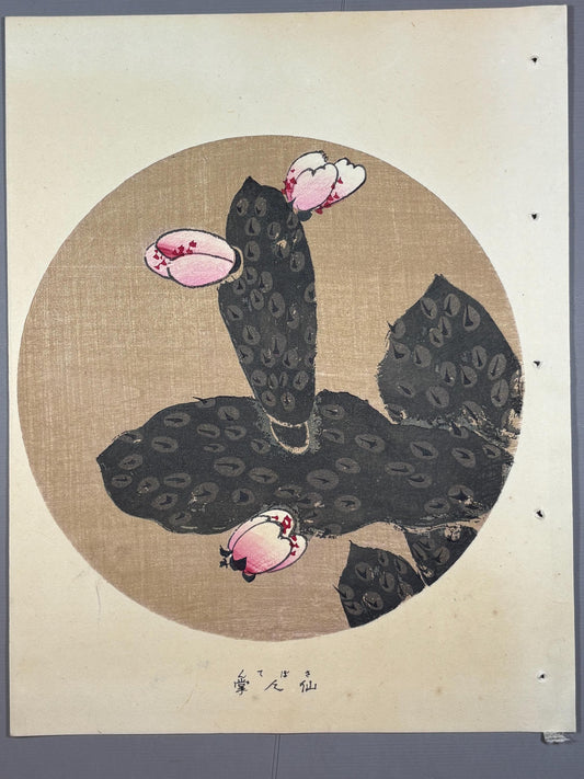 1908, Japanese antique woodblock print, Ito Jakuchu, "Cactus, from Jakuchu gafu"