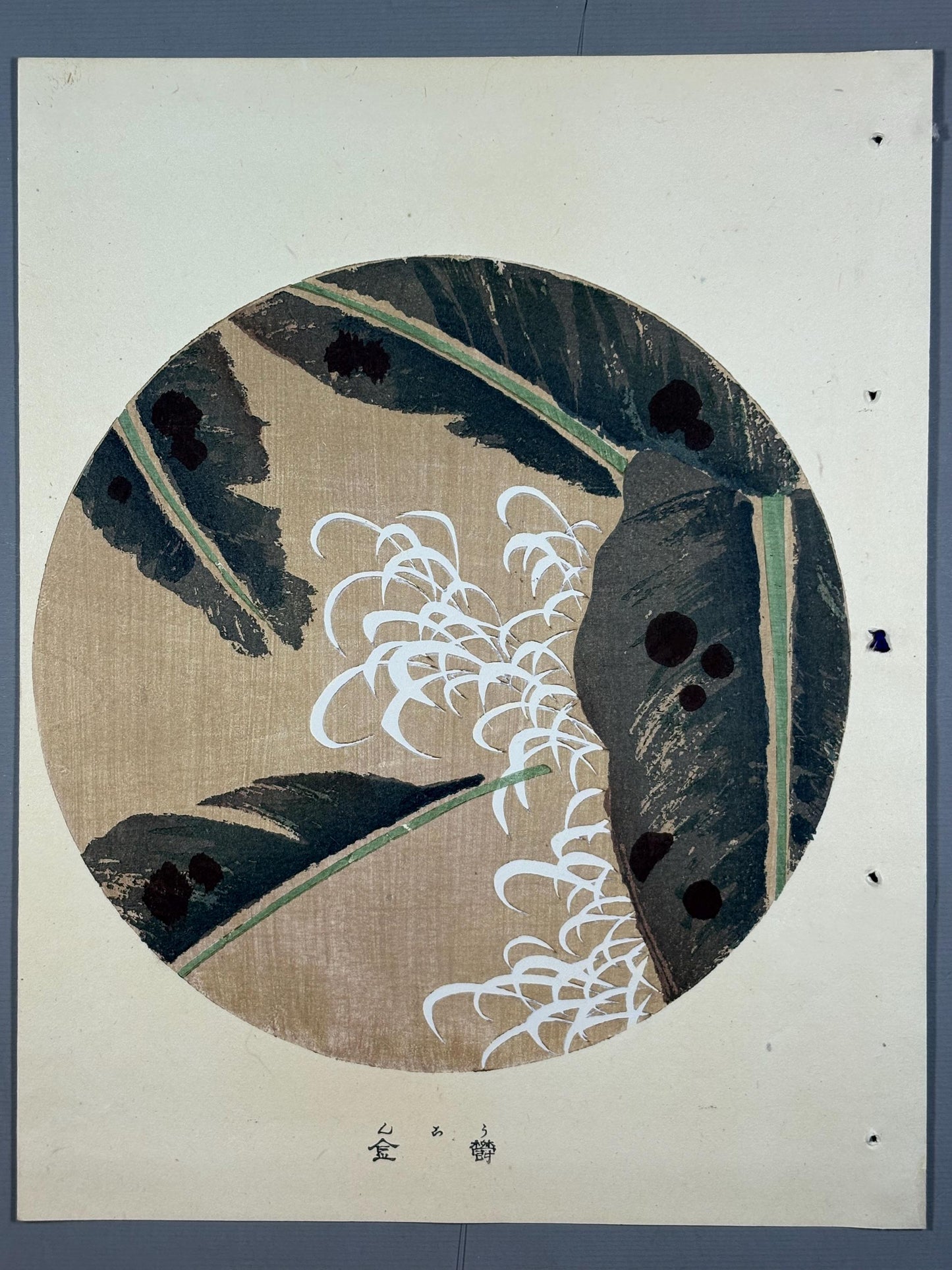 1908, Japanese antique woodblock print, Ito Jakuchu, "Wild Turmeric, from Jakuchu gafu"