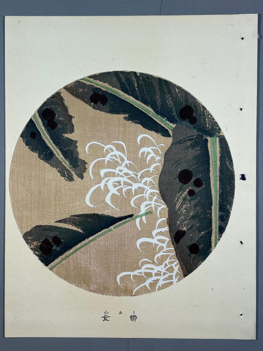 1908, Japanese antique woodblock print, Ito Jakuchu, "Wild Turmeric, from Jakuchu gafu"